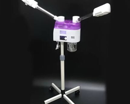 Standing face steamer